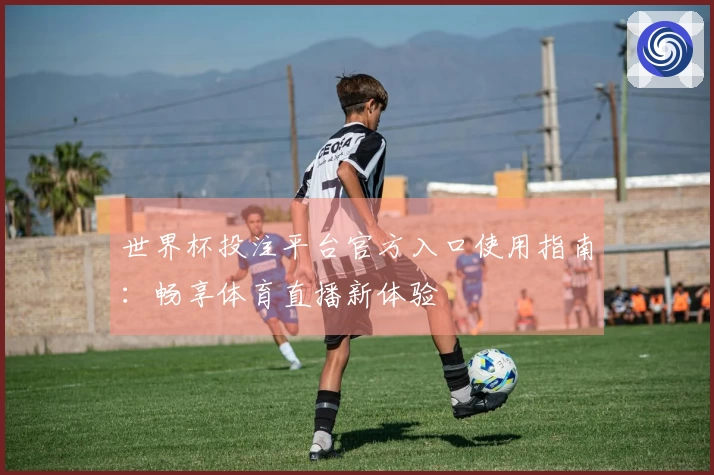 世界杯投注平台官方入口使用指南：畅享体育直播新体验