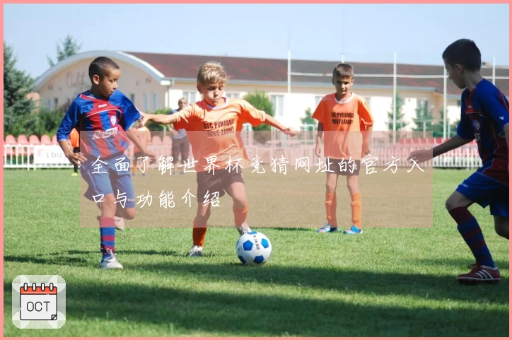 全面了解世界杯竞猜网址的官方入口与功能介绍