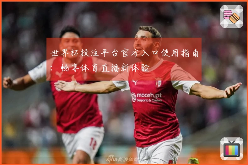 世界杯投注平台官方入口使用指南：畅享体育直播新体验