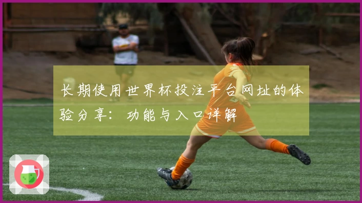 长期使用世界杯投注平台网址的体验分享：功能与入口详解