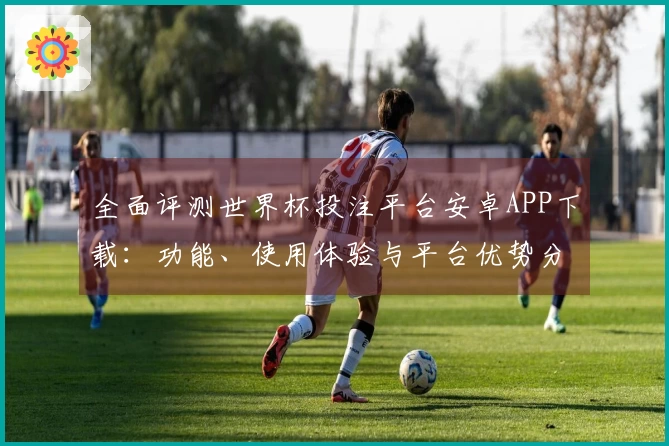 全面评测世界杯投注平台安卓APP下载：功能、使用体验与平台优势分析