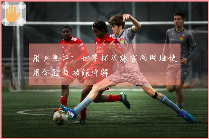 用户测评：世界杯买球官网网址使用体验与功能详解