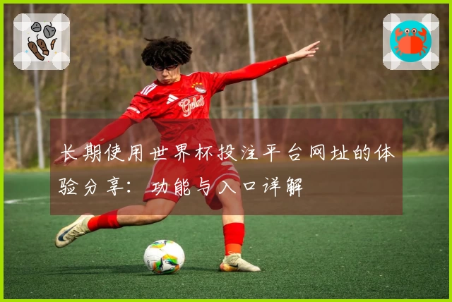 长期使用世界杯投注平台网址的体验分享：功能与入口详解